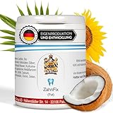 ZahnFix Revital Liposomal Zahnpasta für Hunde – 40ml natürliches Zahngel gegen Zahnstein & Zahnfleischentzündung – enzymatische Hundezahnpasta ohne Xylit mit Kurkuma, Kokosöl & kolloidalem Silber
