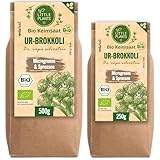 Little Plants Bio UR-Brokkoli Sprossen Samen [250g] - UR-Brokkoli-Samen mit über 95% Keimfähigkeit - UR-Brokkolisprossen & Microgreens zum Keimen (inkl. Ebook)