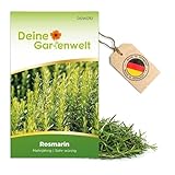 Rosmarin Mehrjährig Samen - Rosmarinus officinalis - Rosmarinsamen - Kräutersamen - Saatgut für 20 Pflanzen