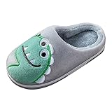 Generisch Mädchen im Inneren tragen Hausschuhe, süße Dinosaurier, weicher, bequeme Winter-warme Plüsch-Hausschuhe Slippers 37 (Grey, 32 Big Kids)