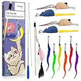 Inovida Katzenspielzeug Set : XL 15 Teile Katzenspielzeug mit Katzenminze – Veganes Spielzeug für Katzen mit Katzenangel, Federn, Maus, Würmern – Kitten Spielzeug Set Katzen Gadgets