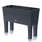 Prosperplast Blumenkasten Rato Case High inkl. Bewässerung und abnehmbaren Beinen, Anthrazit, 25 x 60 x 46 cm, ideal für Innen- & Außenbereich