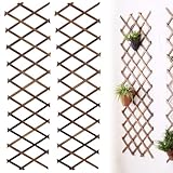 Rankgitter Holz Ausziehbar, 2 Stück Expandable Plant Trellis, Garten-Rankgitter 140×36 cm, Holz Trennwand Pflanzer Gartenzaun, Holzspalier Für Dekoration Kletterpflanzen