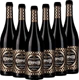 Neropasso Rosso Veneto IGT Biscardo Rotwein 6 x 0,75l VINELLO - 6 x Weinpaket inkl. kostenlosem VINELLO.weinausgießer