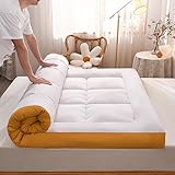 AWMYEZOU Futonmatratze, Futons, Sofa, Couch, Bett, Rollmatratze, Bettauflage, Matte, Bodenmatratze für Erwachsene (grau, voll)