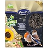 Lyra Pet® | 25 kg Sonnenblumenkerne Schwarz | Vogelfutter für das Ganze Jahr | Premium Wildvogelfutter | Idealer Energiespender für Sommer und Winter | Ölhaltiges Vogelstreufutter für Wildvögel