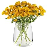 TREND FOR HOME Glasvase Gross H: 22.7 cm Vase für Pampasgras Glasvase Rund Vasen Groß Vasen Hochzeit Tulpenvase Vase Bauchig Durchsichtig Rosenvase Vase für Tulpen Breite Öffnung | Ø 19 cm | Zinnia