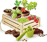 Clementoni Galileo Play for Future – Mein Garten Set, Experimentierkasten für Pflanzen-Fans, Wissenschaft für Zuhause, Botanik & Biologie für Kinder ab 7 Jahren 59207
