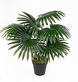 Seidenblumen Roß Fächerpalme Real Touch 40/50cm im Topf ZJ Kunstpflanze künstliche Palme Dekopalme Pflanze