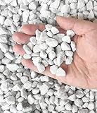 50 QT professioneller Bio-Vermiculit und Perlit für den Gartenbau (große Größe – Perlit, 50 QT)