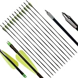 biubiusot 31 Zoll Pfeile für Bogenschießen Erwachsene Fiberglaspfeile Jagdpfeile Bogen Pfeile für Recurvebogen Compoundbogen Langbogen 12 Stück
