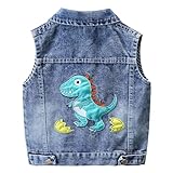 Amur Leopard Kinder Jungen Jeansweste Denim Weste Mädchen Ärmellos Jeansjacke Baumwolljacke für Frühling und Herbst, Blau, 92-98 (Etikettengröße: 100)