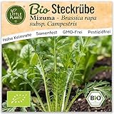 Little Plants BIO Senfkohl Samen 300 Senfkohlsamen Mizuna Gemüsesamen Gemüsesaatgut Samenfest für Gemüsegarten, Hochbeet, Küche, Balkon und Garten