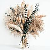 pampasgras deko - Tägliche Esszimmertisch Deko - Tischdeko & Trockenblumen Grünpampasgras Klein für Wohnzimmer, Deko Blumen Künstlich & Sommer Wohnung Deko im Boho Stil, Eucalyptus