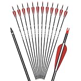 NIKA ARCHERY 12er Pfeile für Bogenschießen 31 Zoll Carbonpfeile Erwachsene Jagdpfeile 500 Spine Bogen Pfeile für Recurvebogen Compoundbogen Langbogen