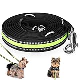 Hundeleine für große und mittelgroße Hunde - Verstellbare Doppelleine aus Nylon mit 2 Karabinerhaken und 3 Ringen - 3m x 15mm (Fluoreszierendes Grün)