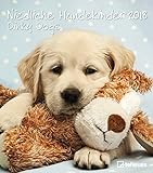 Niedliche Hundekinder 2018: teNeues Wandkalender