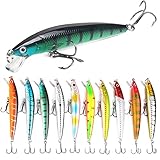 10 Stück Wobbler Kunstköder Set, Angelköder Kunstköder, Fishing Lures, Hecht Angelköder, Soft Vivid Angeln Köder, mit Drillingshaken für Forelle, Barsch, Hecht, Döbel, Zander, Lachs, Angeln Geschenk