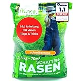 Rasensamen schnellkeimend Schattenrasen 2,5kg = 70m² Frühjahr - SEHR GUT getestet - trockenresistent | Rasen Reparatur, Rasen Nachsaat, Neuansaat