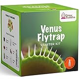 Eigenes Saatgutset züchten - Einfach eigene Pflanzen züchten mit unseren einsteigerfreundlichen Anzuchtsets - Samen-Set - Geschenkset, einzigartige Geschenkidee (Venusfliegenfalle)