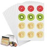 GXGM 10 Stück Dörrfolie Für Dörrautomat Kompatibel Mit Wmf Küchenminis, Dörrgerät Antihaft Silikon Dehydrator Blätter Für Obsttrockner, Dörrfolie Für Wmf Dörrautomat(26 * 17Cm,B)