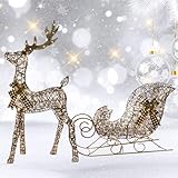 Weihnachtsdekorationen Rattan Hirsch und Schlitten 2 Stück – HOYECHI Beleuchtetes Weihnachtsdekor-Set mit Hirsch für den Innen- und Außenbereich, Vorgarten, Veranda mit Erdspießen – Braun