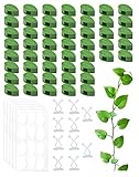 60 Stück Pflanzen Clips，50 Stück Grüne Blattförmige Kletterpflanzen Befestigung und 10 Weiß Unsichtbare Wand Clip， Pflanzenclips Kletterpflanzen Für Plant Climbing Wall Garten Pflanzen Stängel
