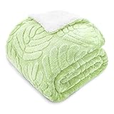 Whale Flotilla Decke Kuscheldecke, Leichte, Umkehrbare Sherpa Fleecedecke, Flauschige Sofadecke Wohndecke für Ganzjahreszeiten, Weich und Warm, 150x200 cm, Hellgrün