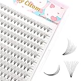 Keiby Citom Wimpern Einzeln 240 Pcs Einzelne Wimpern Cluster Lashes D Curl Wimpern, Wimpern Falsche Wimpern flauschige für Wimpernverlängerung (10P D Curl 9-16 mm), Anzahl Der Artikel 1, 1.0 stück