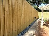 DE-COmmerce Hochwertiger Bambus Zaun Sichtschutz ATY Nature, oben geschlossen, Rollzaun, Gartenzaun, Sichtschutzzaun für Garten, Terrasse, Balkon (HxB) 100 cm x 180 cm