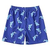 Badehose für Jungen-Schwimmen Kleinkind Trunks 16Y Badeanzug Jungen Shorts Schwimmen Cartoon Baden Säuglingsanzug Baby Kinder Strand Jungen (G, 2-3 Years)