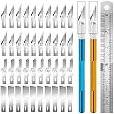 JYSNOW Skalpell Set, Precision Carving Craft Messer Set, 2 Stück Schnitzmesser mit 40 Ersatzklingen und 1 Lineal, Bastelmesser, Hobbymesser für Skulptur, Caving, Cameos, Beschriftung