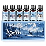 Aeshory 6 x 10 ml Winter Ätherische Öle Set Duftöle für Diffuser, Kerzenherstellung – Gefrorene Magie, Winterwunderland, Knisterndes Kaminfeuer, Warmer Pullover, Gefrostete Tanne, Heiße Schokolade