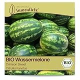 Samenliebe BIO Wassermelonen Samen alte Sorte Crimson Sweet süße Melone rund rot 10 Samen samenfestes Gemüse Saatgut für Gewächshaus Freiland und Balkon BIO Gemüsesamen