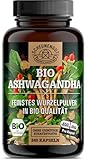 Bio Ashwagandha 1950mg je Tag -WICHTIG: Zertifiziertes Bio-Ashwaganda +Withanolide hochdosiert -240 Ashwagandha Kapseln Hochdosiert- Laborgeprüft und Vegan I DE SCHEUNENGUT®
