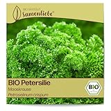 Samenliebe BIO Petersilie Samen alte Sorte Mooskrause 500 Samen samenfestes Kräuter Saatgut für Küche indoor und Balkon Garten BIO Kräutersamen mehrjährig