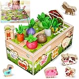 Montessori Spielzeug ab 1 2 Jahr: Geschenke ab 1 Jahr Junge Mädchen Holzspielzeug Kinderspielzeug ab 1 2 Jahr 12 18 Monate Farmspiel Karotten Steckspiel ab 1 Jahr Motorikspielzeug Geburtstag Ostern