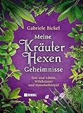 Meine Kräuterhexengeheimnisse: Tees und Liköre, Wildkräuter und Naturheilmittel