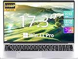 Fsjun 17.3 Zoll Laptop Win 11 Pro, Celeron N5095 bis 2,9 GHz, 16GB RAM, 960GB SSD, FHD IPS, Fingerabdruck, Beleuchtete Tastatur, Mini HDMI, 3× USB 3.0, Silber