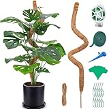 weiclianhp 125CM Moosstab für Monstera, Rankhilfe Monstera mit Zubehör, Pflanzenstütze, Pflanzenstab, Moss Pole, Rankhilfe Zimmerpflanzen für Indoor Pflanzen