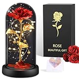 BOLEi Ewige Rose für Frauen, Ewige Rose im Glas Überraschung für Mama, Die Schöne und das Biest Rose, Hochzeitstag Überraschung für Frauen, Rote Galaxie Rose für Sie, Frauen, Mama, Freundin, Oma