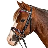 WALDHAUSEN Star Trensenzaum Pinky, SH, schwarz