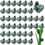 laeeyin 100 Stück pflanzenclips Orchideen Klammern, 1.5 cm Dunkelgrüne pflanzenklammern orchideen klammern Kunststoff Pflanzenklammern für Unterstützen und Halten Pflanze