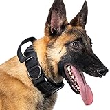 OneTigris Halsband mit Metallschnalle für Hunde (Schwarz, L)