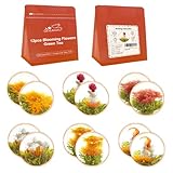 LWXLJMJZC-Teeblumen 12 Stück (6 Geschmacksrichtungen x 2 Stk.) Blühender Tee, Blühender Tee mit Jasmin, Grüner Tee mit Blumen, Geschenk für Teeliebhaber