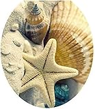 Abnehmbare WC-Sitz Aufkleber Ocean Forest Sky Fisch Vinyl Aufkleber Badezimmer Dekor langlebig und praktisch,WC Zubehör,Aufkleber für Toilettendeckel,Das transparente,Küche,Haushalt and Wohnen