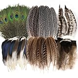 MWOOT 48 Stück Federn zum Basteln, 6 Stile Natürliche Pfauenfedern Fasanenfedern Truthahnfedern, Gemischte Deko Bastelfedern für DIY Traumfänger Kostüm Hüte Maske Karneval Halloween Deko