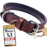 Schnüffelfreunde Halsband für Hunde aus Leder, Hundehalsband für den großen, mittleren und kleinen Hund, Lederhalsband gepolstert, robust (L - 36-45cm, Braun)