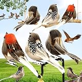 Duyteop 6 Stück Künstliche Vögel Mit Feder Und Clips, Künstliche Federvögel, Feder Vogel Modell, Feder Vogel, Mini Vogel Dekofigur, Vogelfigur Simulation, Osterfiguren Mini Vogel Dekofigur(Trikolore)