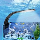 Aquarium LED Beleuchtung - Aquarium Lampe, 10W LED Aquarium Licht Beleuchtung Kompakte Aquarienleuchte mit Leistungsstarkem Clip, Unterwasser Wasserdicht BeleuchtungAufsatzleuchte für 23-50cm Tank